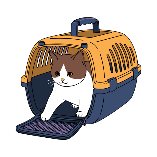 Pet Taşıma Çantası
