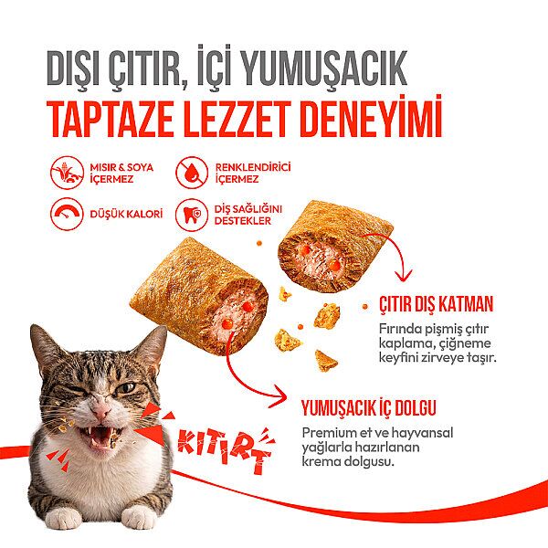 Pıwp-227 Wanpy Kedi Crunch Ödül Somon (Salmon) & Havyar (Cavıar) 60 Gr 10'lu