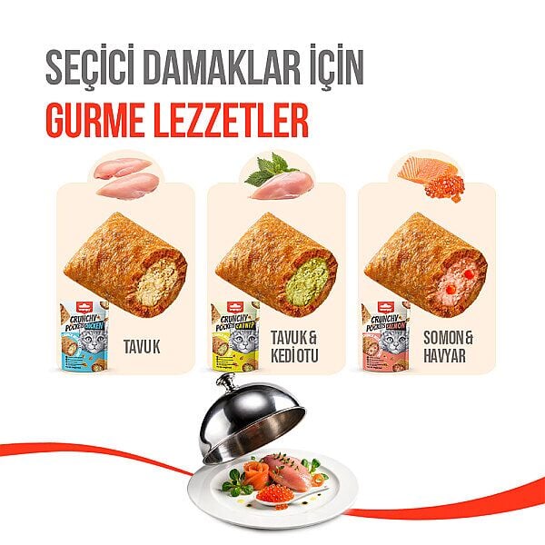Pıwp-226 Wanpy Kedi Crunch Ödül Tavuk (Chıcken) 60 Gr 10'lu
