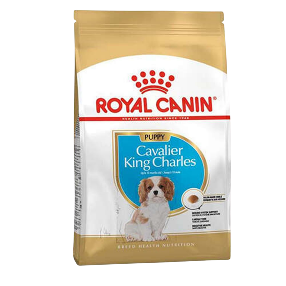 Royal Canın Cavalıer Kıng Charles Puppy Kuru Köpek Maması 1.5 Kg