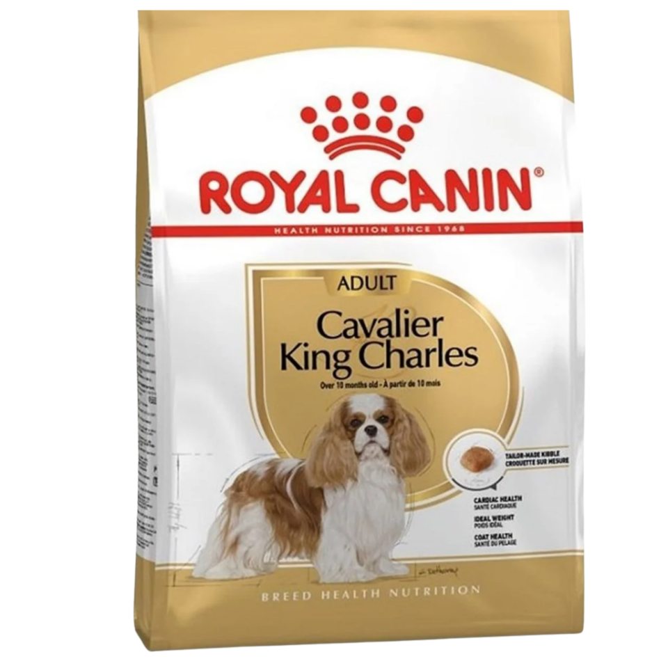 Royal Canın Cavalıer Kıng Charles Adult Kuru Köpek Maması 3 Kg