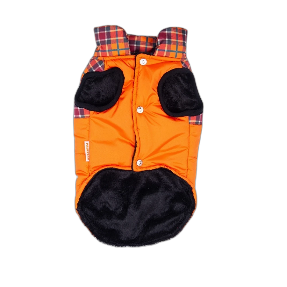 Pawstar Turuncu Elgın Paws Yelek 5'li Set (M-2Xl)