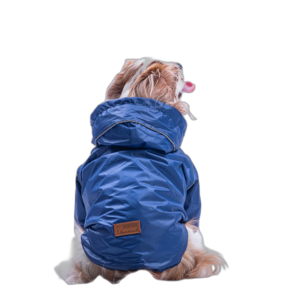 Pawstar 25507 Pluvıa V25 Yağmurluk Lacivert 5'Li Set (M-L-XL-XL-2XL )