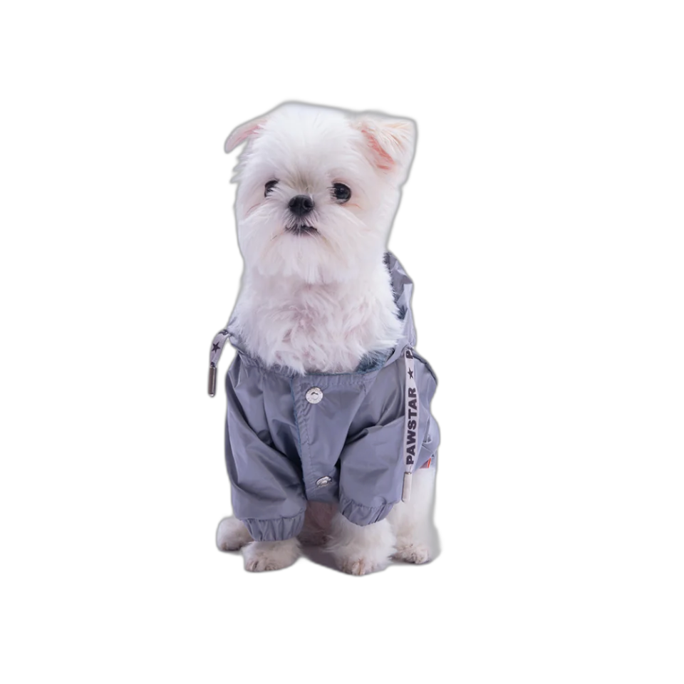 Pawstar 25504 Pluvıa V25 Yağmurluk Füme 5'Li Set (M-L-XL-XL-2XL)