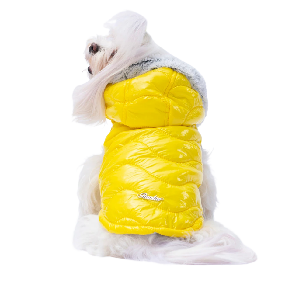 Pawstar 23112 Sarı Lıght Wave Yelek 5'Li Set (M-L-XL-XL-2XL)