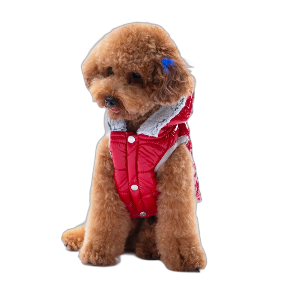 Pawstar 23111 Lıght Wave Yelek Kırmızı 5'Li Set (M-L-XL-XL-2XL)