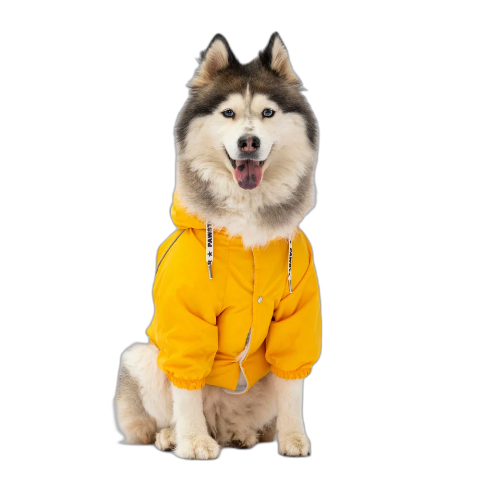 Pawstar 22554 Sarı Pluvıa Büyük Irk Yağmurluk 5'Li Set (3XL-4XL-5XL-6XL-7XL)