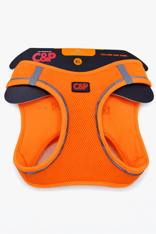 C&P Nefes Alabilir Comfort Köpek Göğüs Yeleği (Aır Mesh) Xl Neon Turuncu