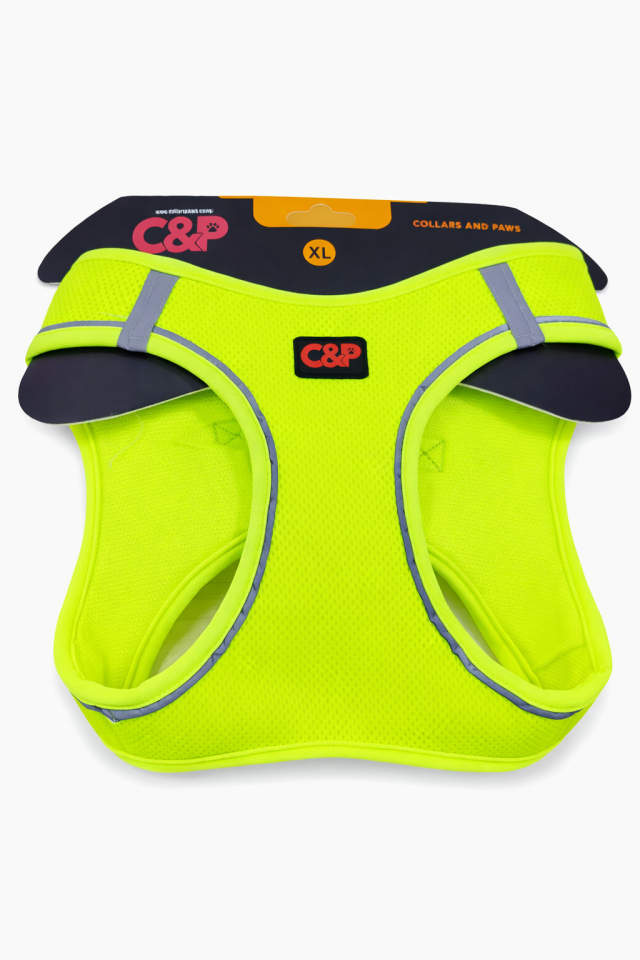 C&P Nefes Alabilir Comfort Köpek Göğüs Yeleği (Aır Mesh) Xl Neon Yeşil
