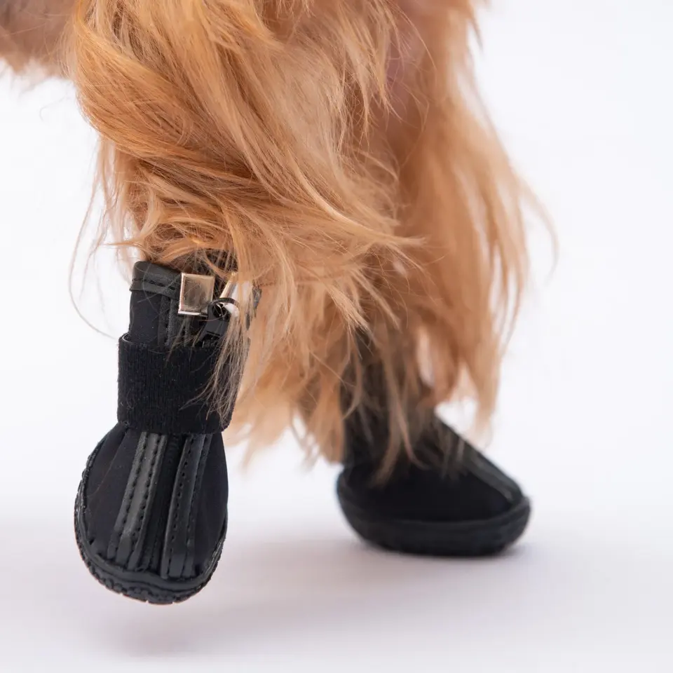 Pawstar Pds06 Siyah Köpek Ayakkabısı - Pds06-2