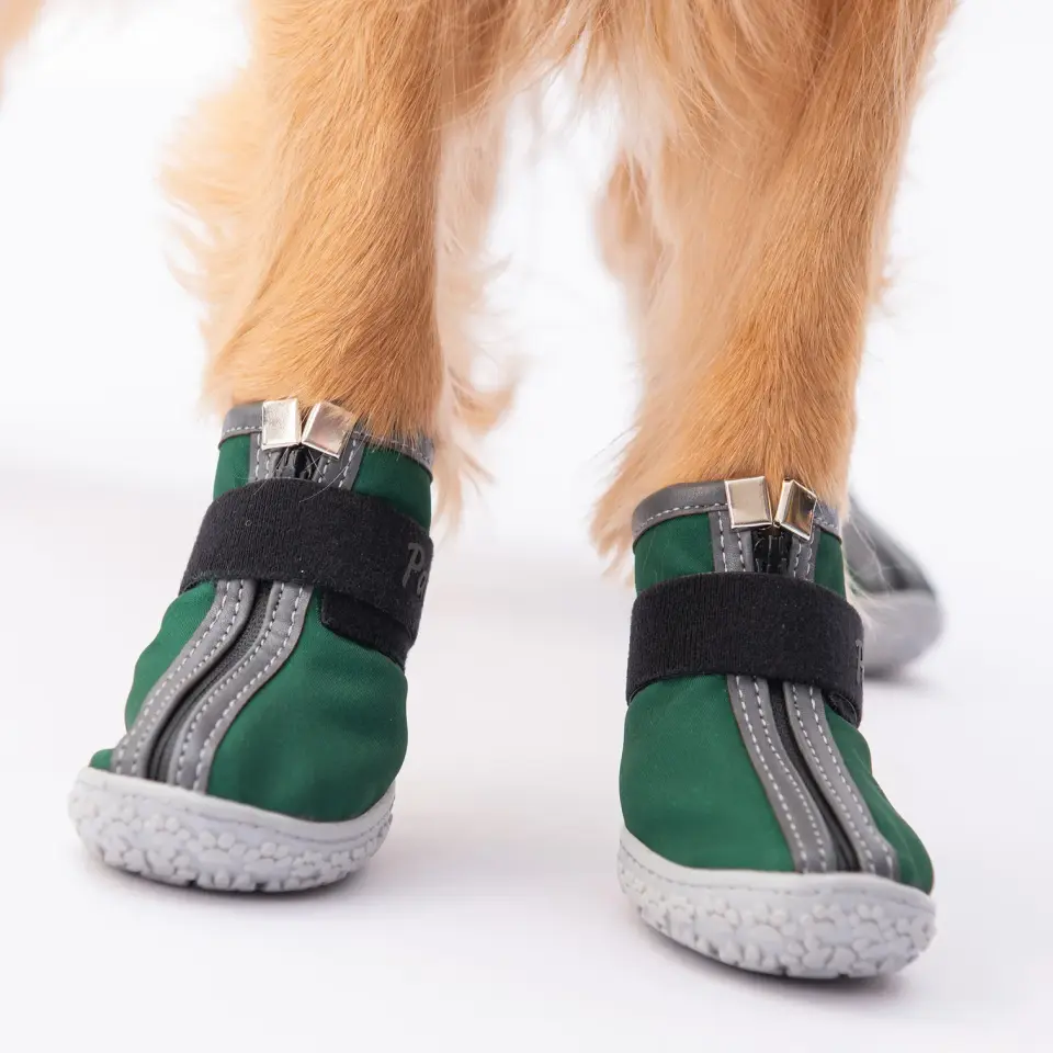 Pawstar Pds11  Yeşil Köpek Ayakkabısı - Pds11-2