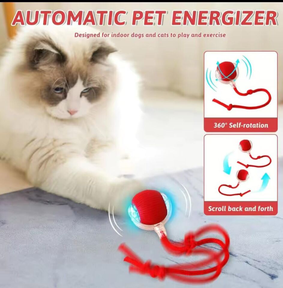 Usb Şarjlı Otomatik Hareketli Top Oyuncağı ( Karma Renk )