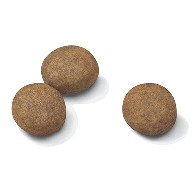 Professıonal Royal Canın Maxi Puppy  Kuru Köpek Maması 16 Kg