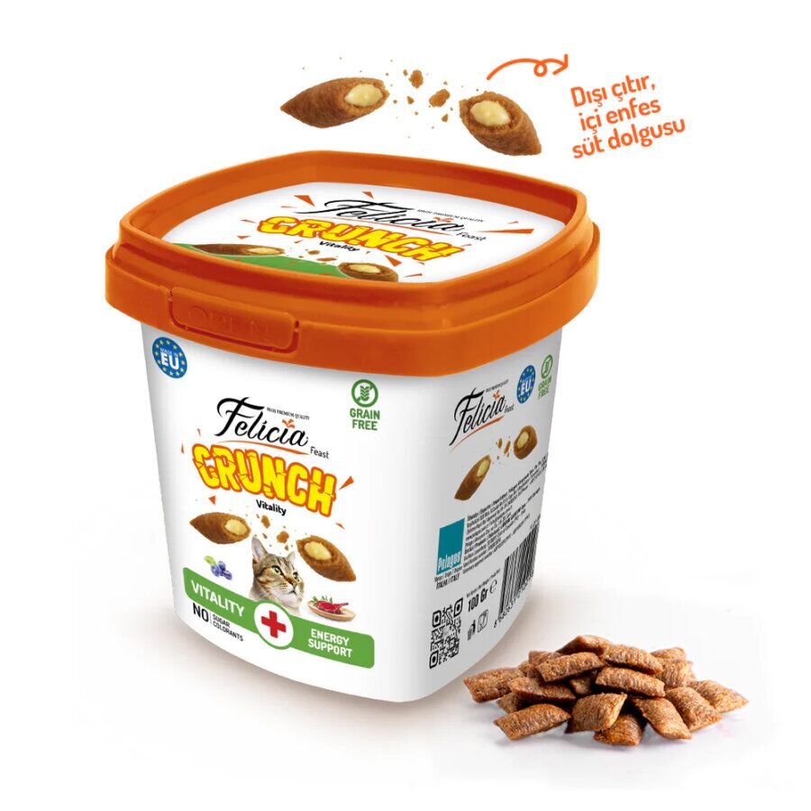 Felicia Vitality Kedi Crunch Ödül Maması Sığır Etli Yaban Mersinli Ve Sütlü 100 Gr ( 6  Adet )