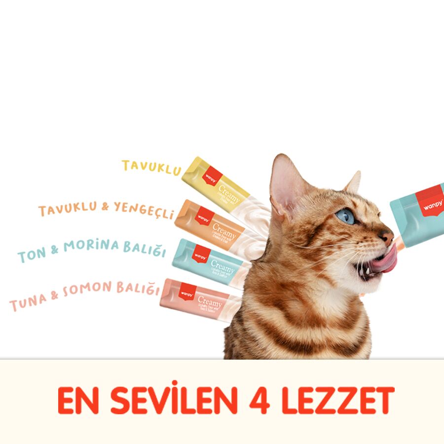 Wanpy Karışık 4 Lezzetli Krema Kedi Ödülü 100x14 Gr