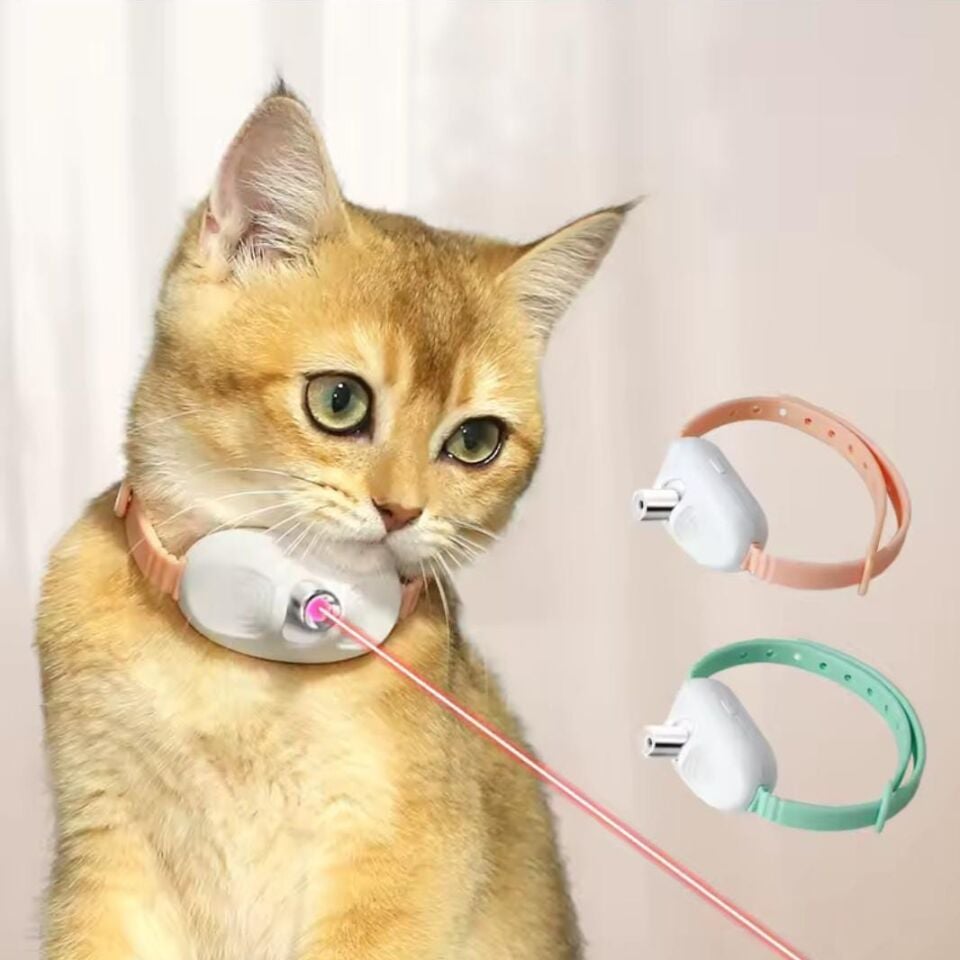 Mad Pet Lazerli Boyun Tasması  363