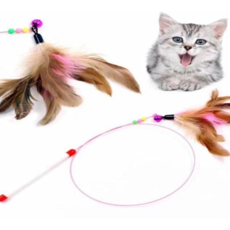 Mad Pet Kedi Oyun Oltası  155
