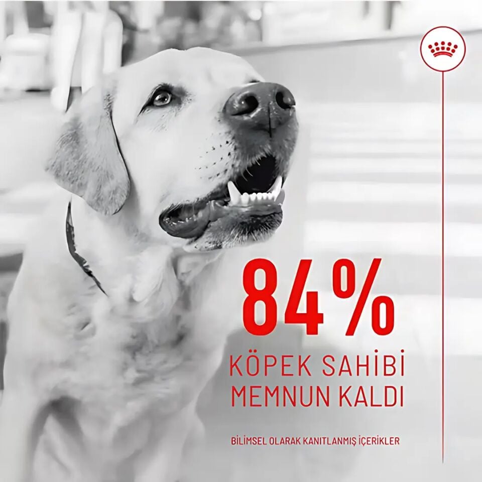 Royal Canın R471809 Dıgestıon Adult Sup 160 Gr