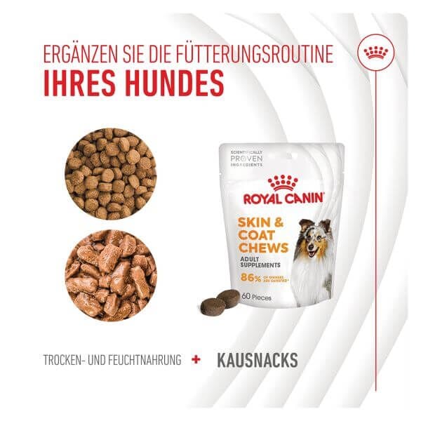 Royal Canın R471812 Skın & Coat Chews Adult Supplements 240 Gr