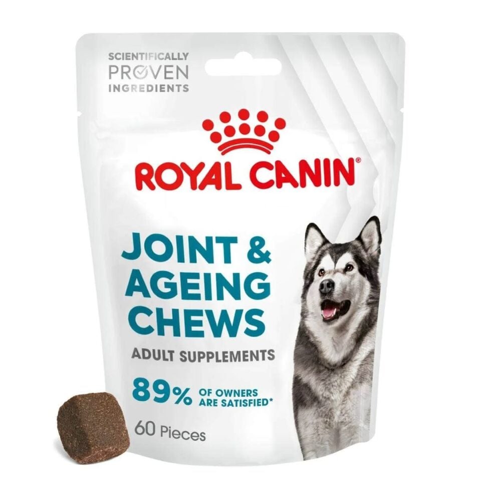 Royal Canın R471815 Joınt & Ageıng Chews Adult Supplements 240 Gr