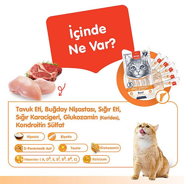 Wanpy Pıwp-100 Bone Joınt Support Sığır Etli & Tavuklu Kedi Kreması 5x14 Gr 12'li