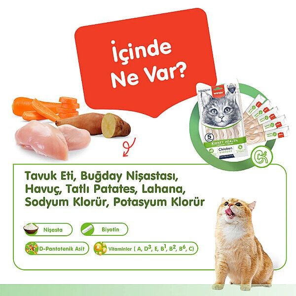 Wanpy Pıwp-101 Kıdney Health Tavuklu & Sebzeli Kedi Kreması 5x14 Gr 12'li