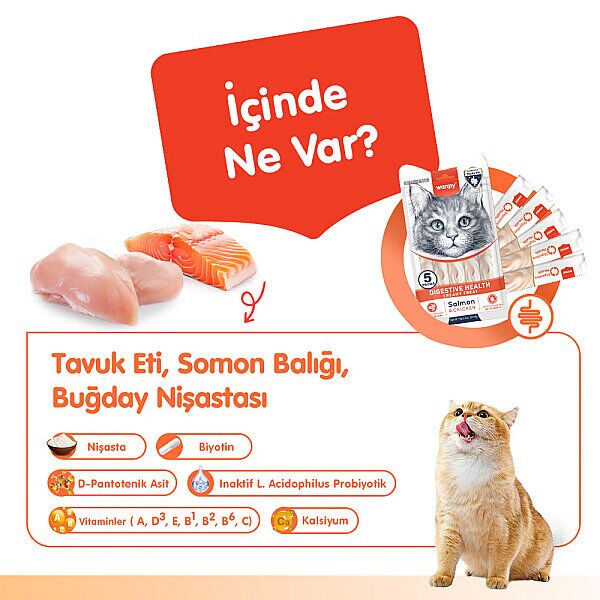 Wanpy Pıwp-102 Dıgestıve Health Somon Balıklı & Tavuklu Kedi Kreması 5x14 Gr 12'li