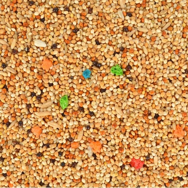 Gold Wıngs Classıc Gwc-001 Muhabbet Kuşu Yemi 400 Gr 12'li